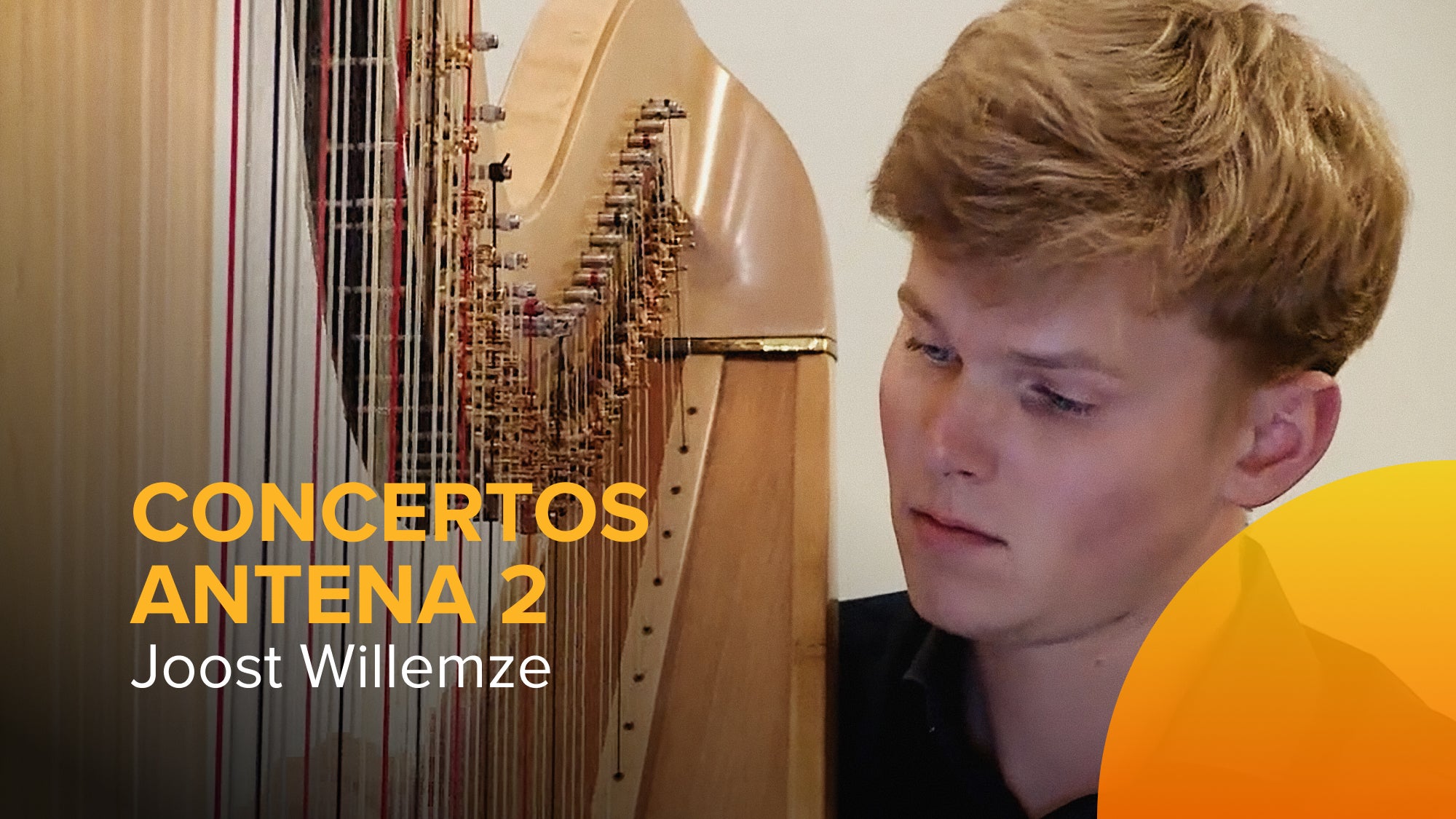 Imagem de Concertos Antena 2 - Joost Willemze | 12 Julho 2022