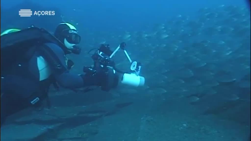 Imagem do Programa / Episiódio - Roteiro Património Cultural Subaquátic