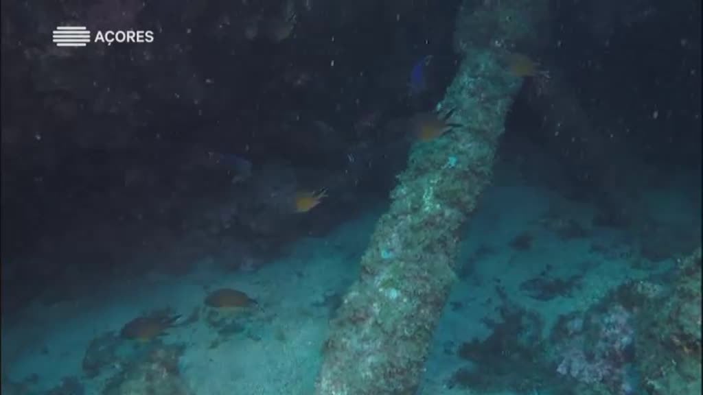 Imagem do Programa / Episiódio - Roteiro Património Cultural Subaquátic