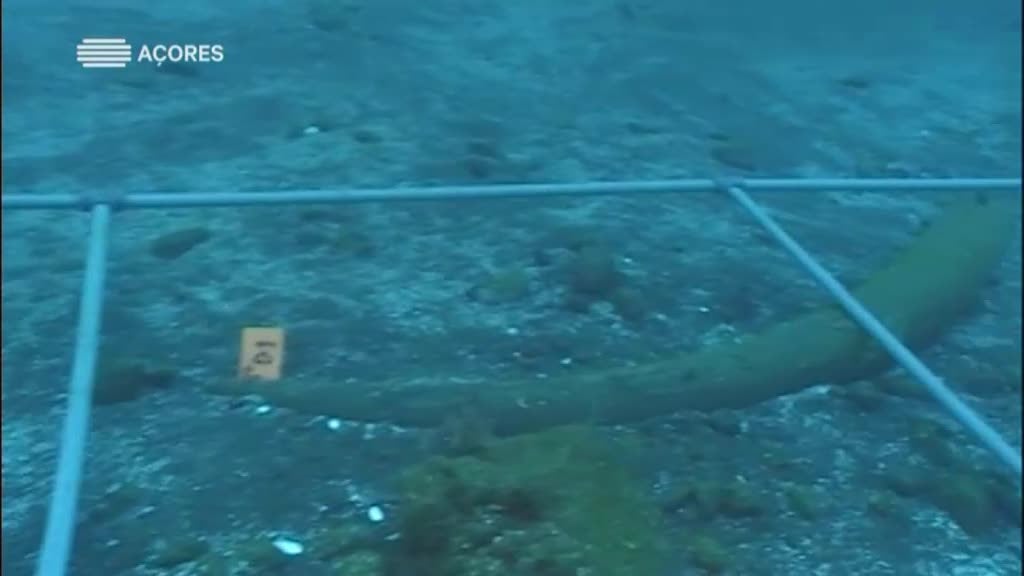 Imagem do Programa / Episiódio - Roteiro Património Cultural Subaquátic