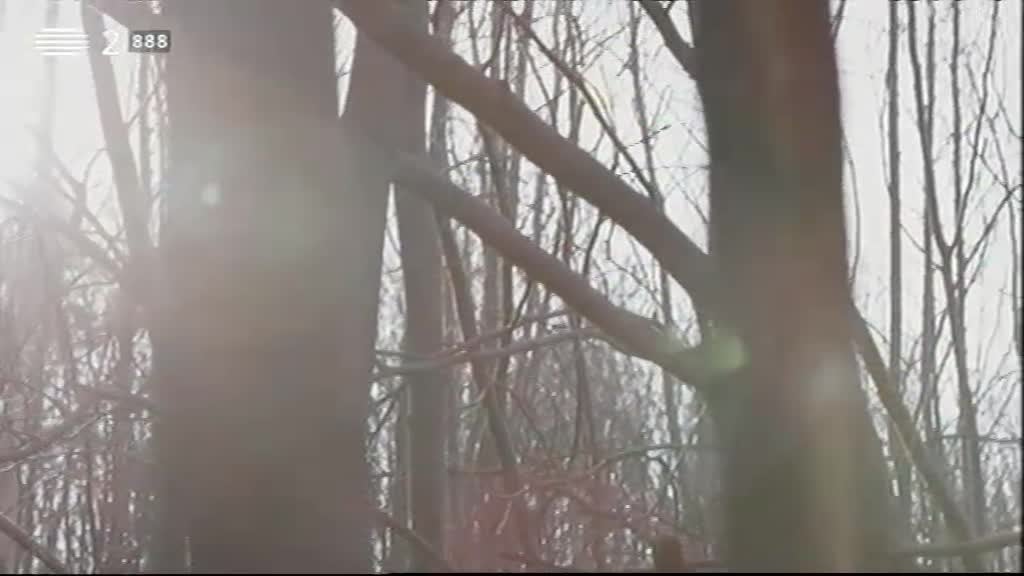 Imagem do Programa / Episiódio - 4 Caminhos Para Fátima - A Fé Que Nos Salva - Jorge Pelicano