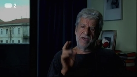 Fernando Lemos - Como, Não é Retrato?