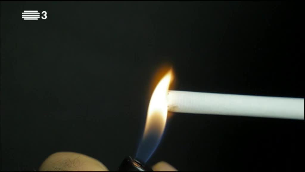 Imagem de RISCO E PREVENÇÃO