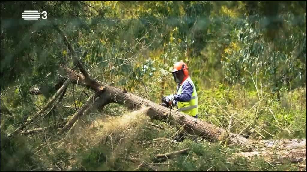 Imagem de RISCO E PREVENÇÃO