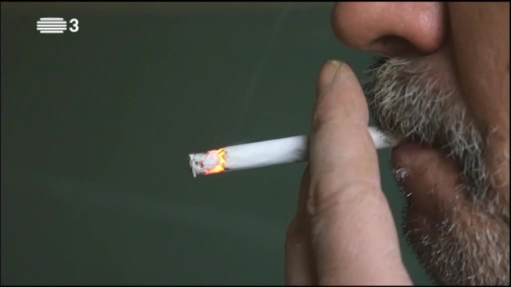 Imagem de RISCO E PREVENÇÃO