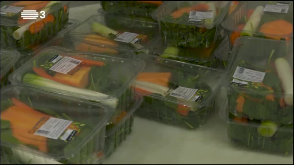 Imagem de RISCO E PREVENÇÃO