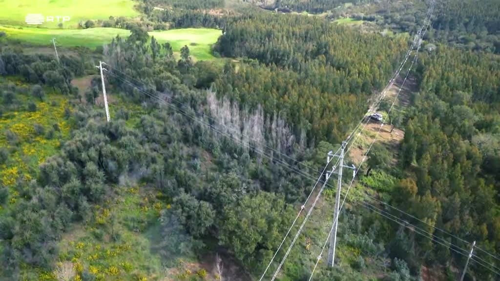 Imagem de RISCO E PREVENÇÃO