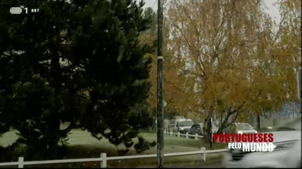 Imagem de Portugueses pelo Mundo - Taxistas e Motoristas