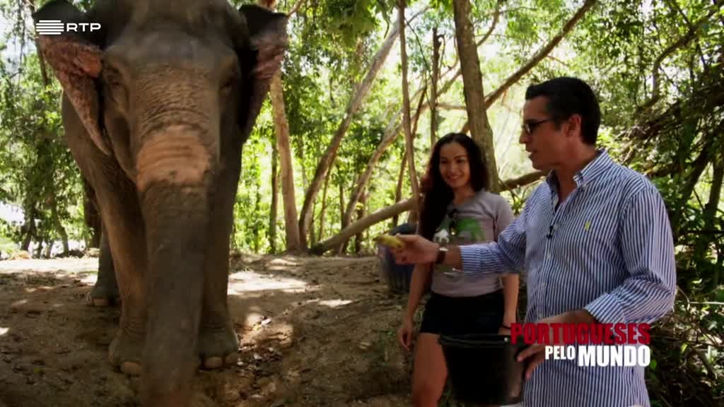 Imagem de Portugueses pelo Mundo - Turismo