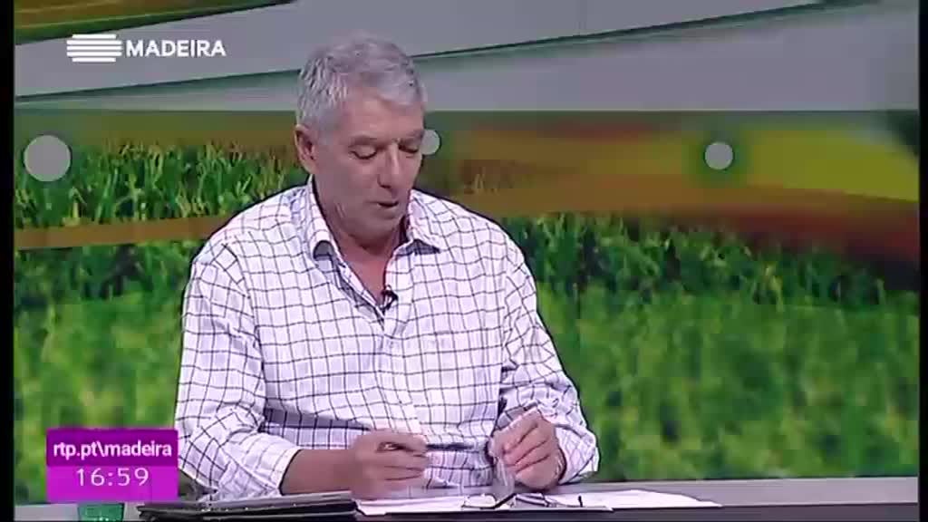 Imagem de Futebol na RTP-Madeira 2018