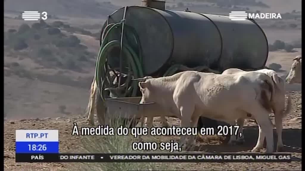 Imagem de Futebol na RTP-Madeira 2018