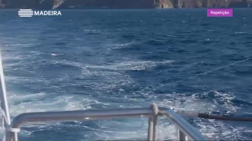 Imagem de Oásis do Atlântico