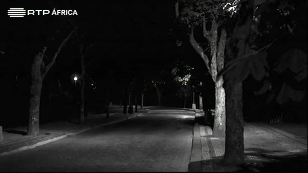 Imagem de O Som e a Forma