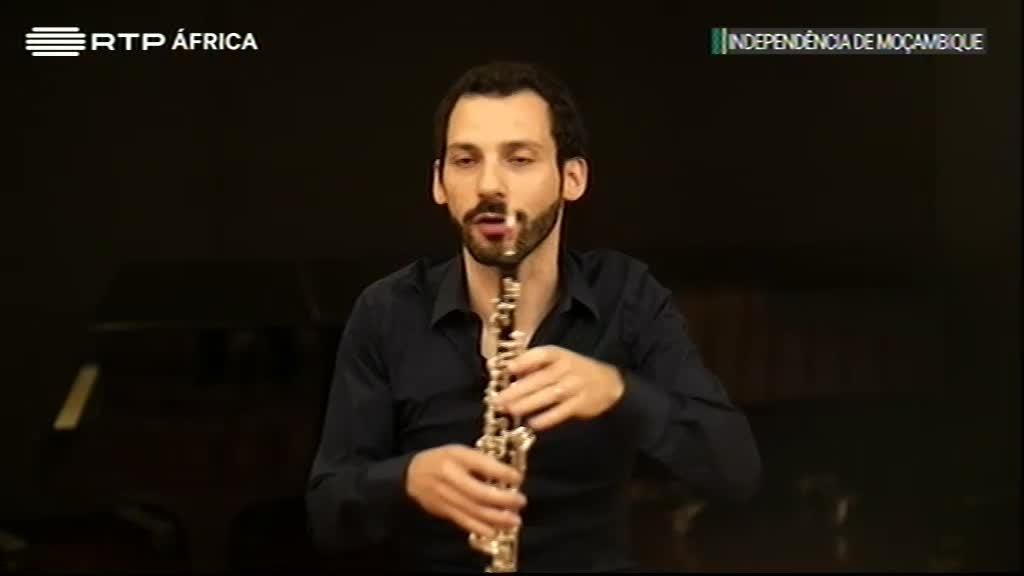 Imagem de O Som e a Forma