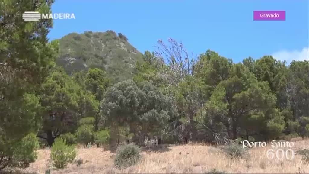 Imagem de Porto Santo 600