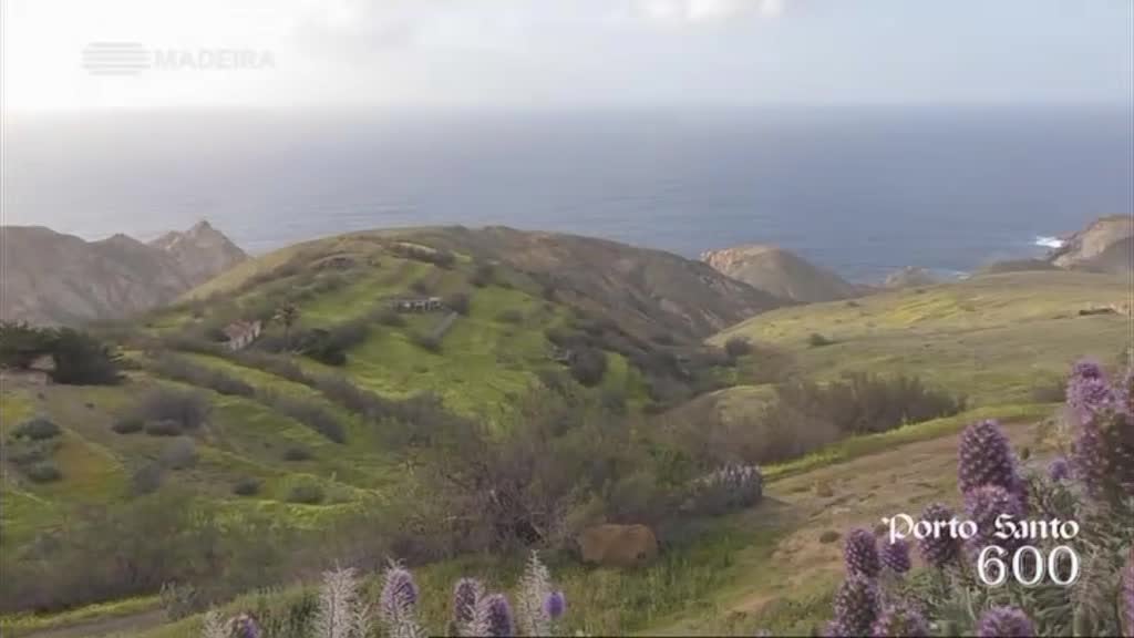 Imagem do Programa / Episiódio - Porto Santo 600