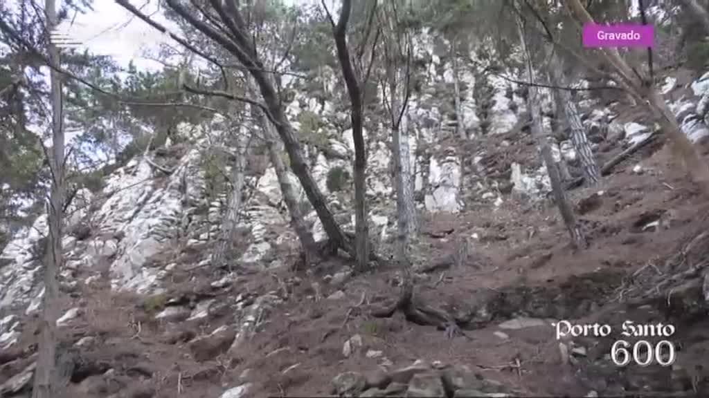 Imagem de Porto Santo 600