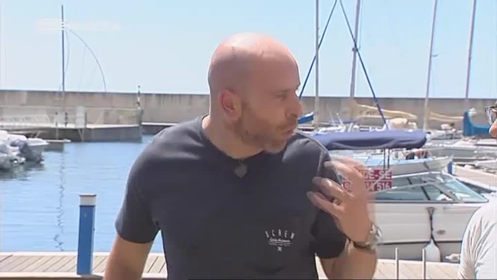 Imagem de Segredos do Octávio