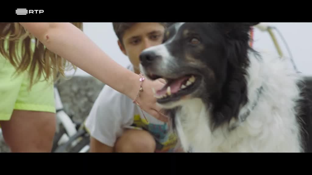 Imagem de Verão M - Hot Dog