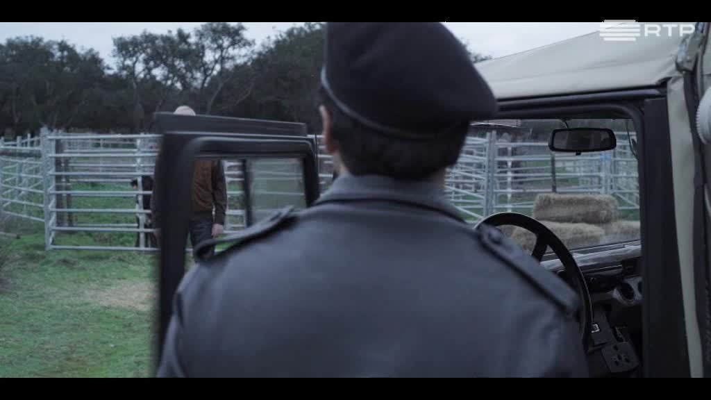 Imagem de Circo Paraíso