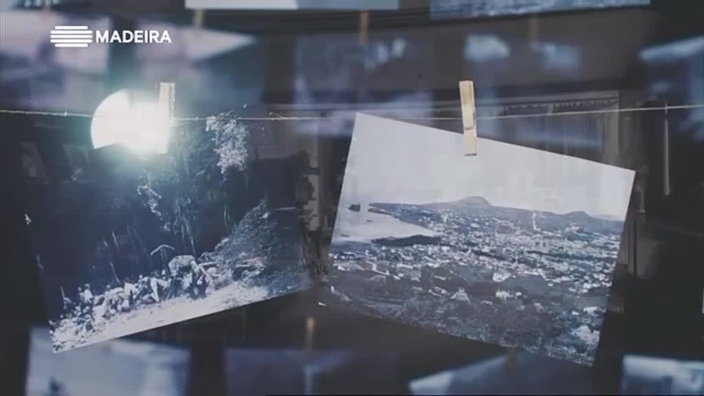 Imagem de Madeira 600 Anos, Artes e Artistas