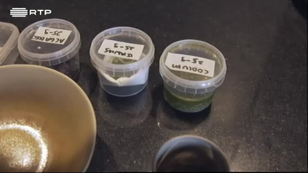 Imagem de Criar.pt - "Captura do Dia" - Alexandre Silva