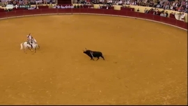 Imagem de Corrida de Touros RTP Algarve