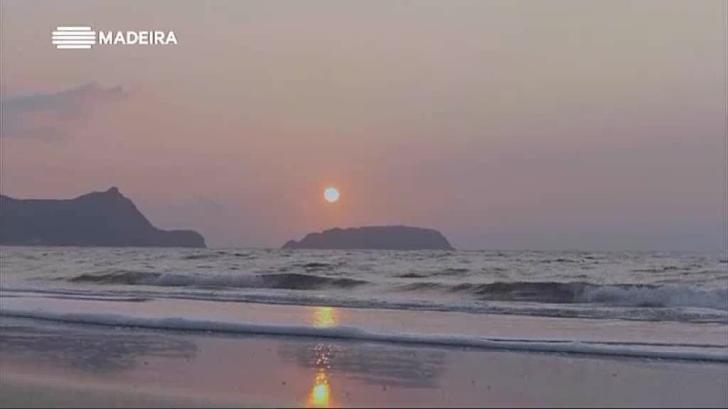 Imagem de Madeira 600 Anos, Natureza