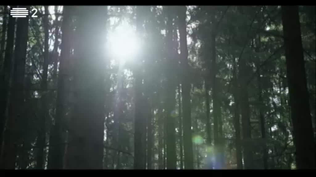 Imagem de New European Songbook 2018