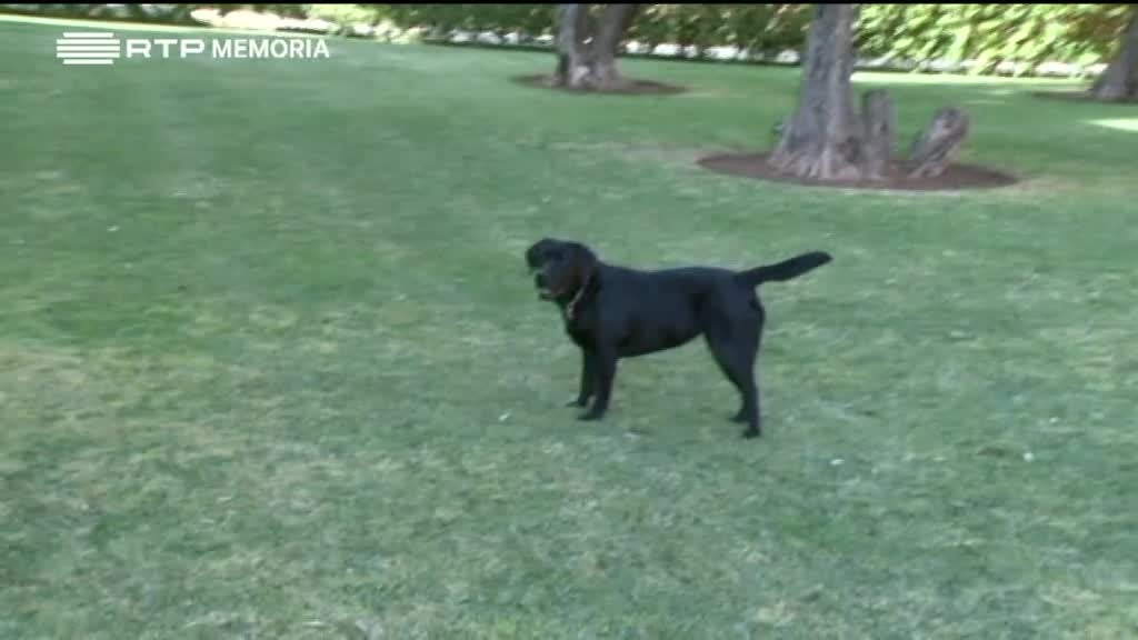 Imagem de Portugueses Pelo Mundo - Marraquexe