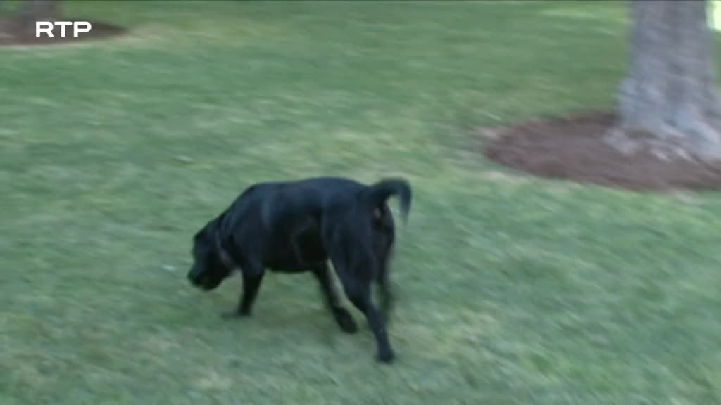 Imagem de Portugueses Pelo Mundo - Marraquexe