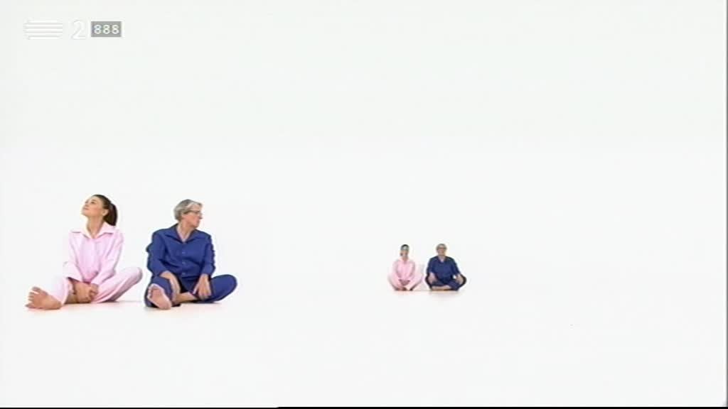 Imagem de Conta Um Conto - A Teia