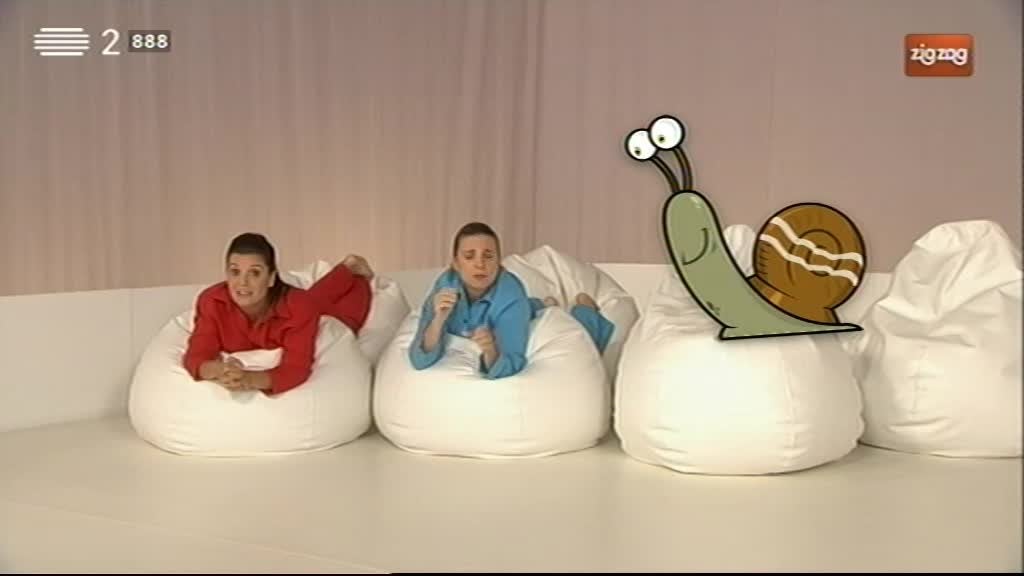 Imagem de Conta Um Conto - O Caracol Que Nem Pediu Para Ser Livre