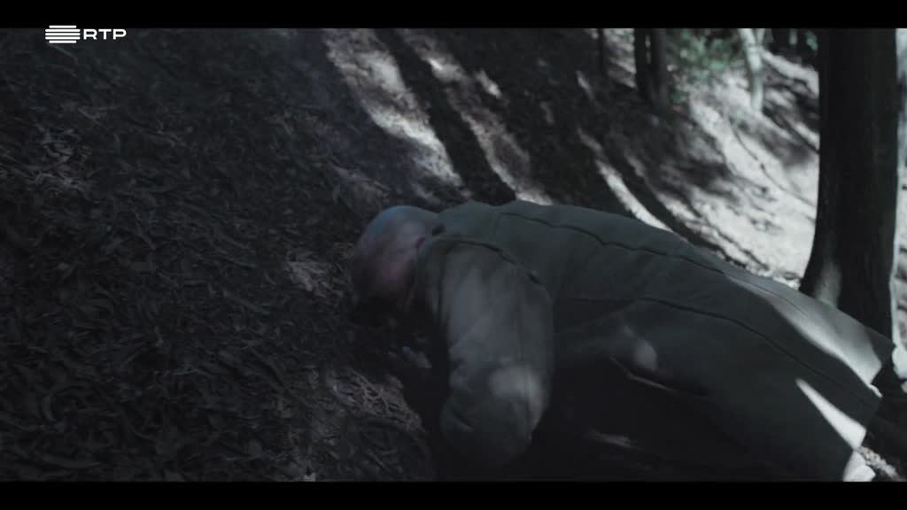 Imagem de Circo Paraíso