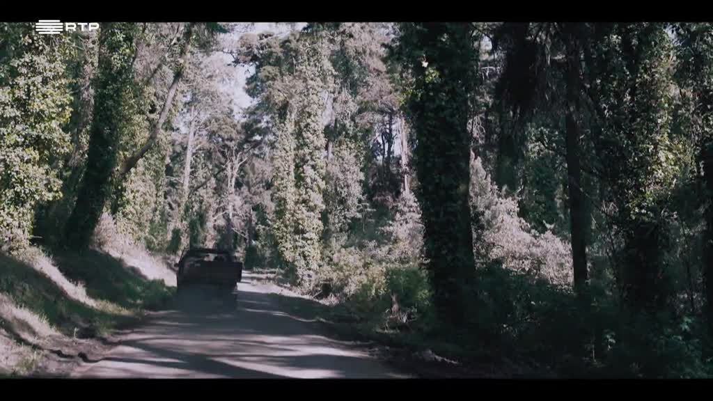 Imagem de Circo Paraíso