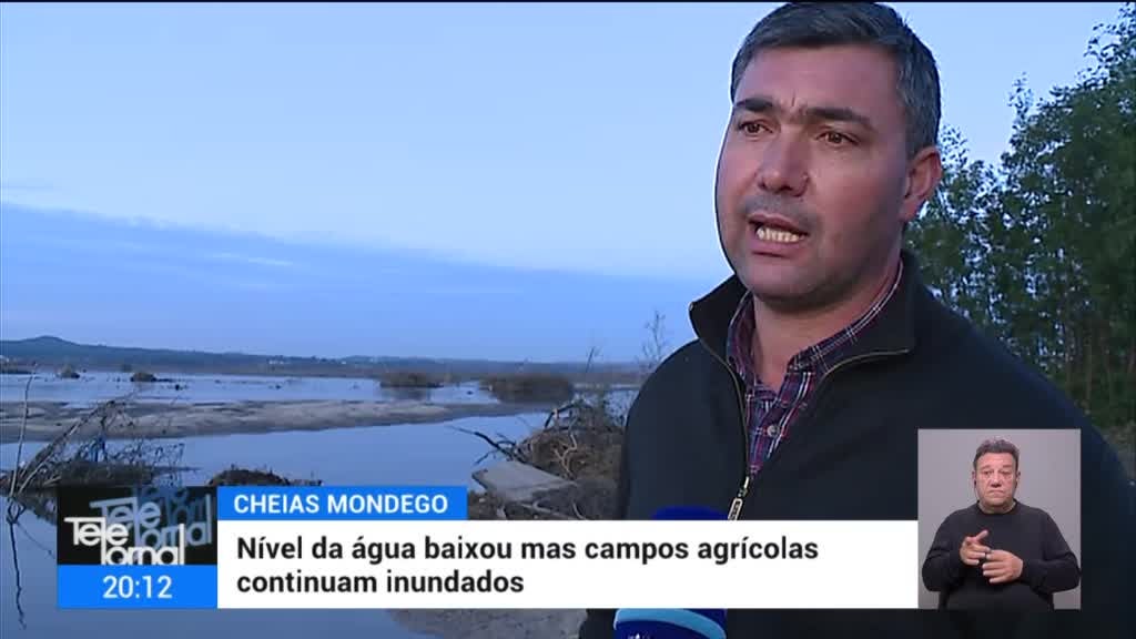 Imagem de Telejornal