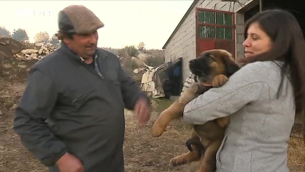 Imagem de Linha da Frente - Homens e Lobos