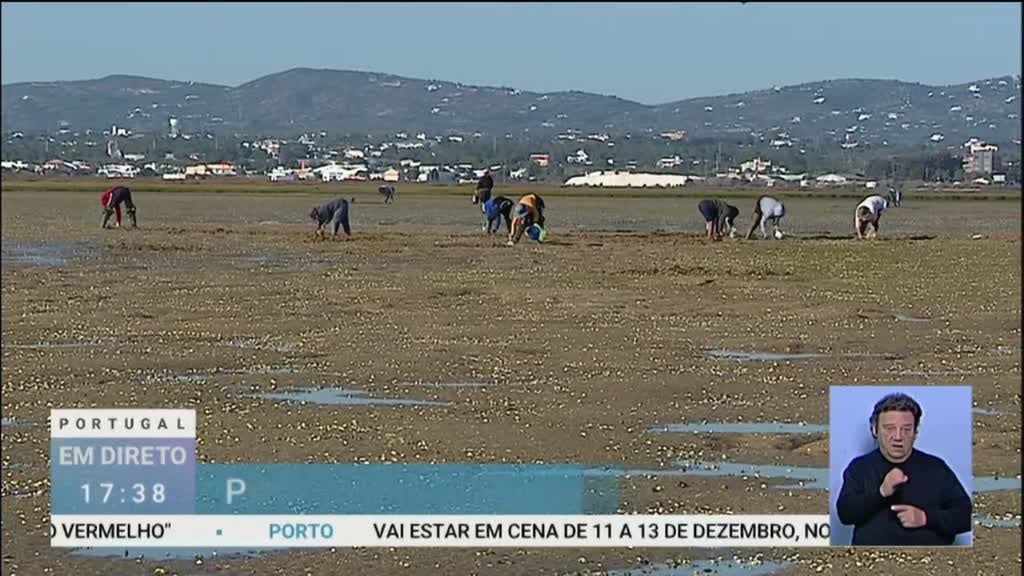Imagem de Portugal em Direto