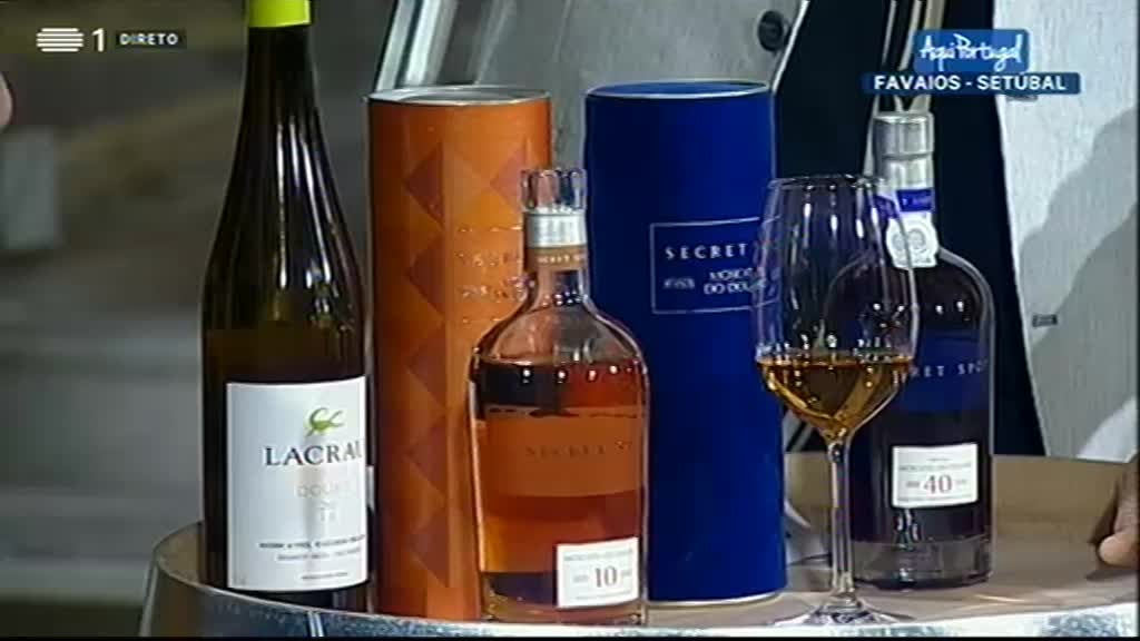 Imagem de Aqui Portugal