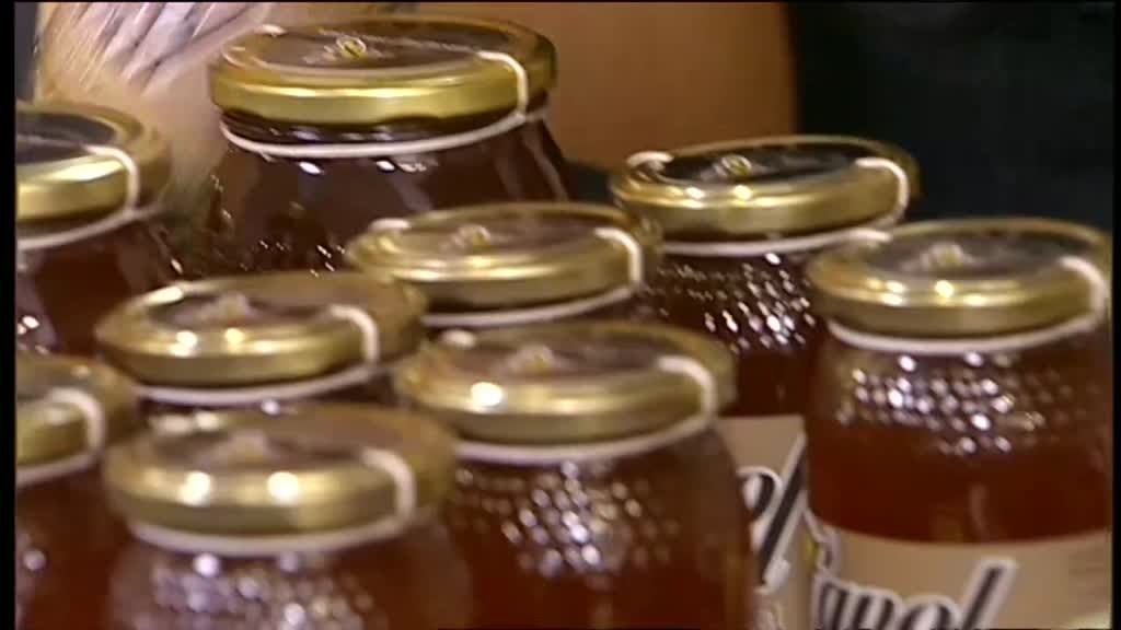 Imagem de Aqui Portugal