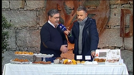 Aqui Portugal