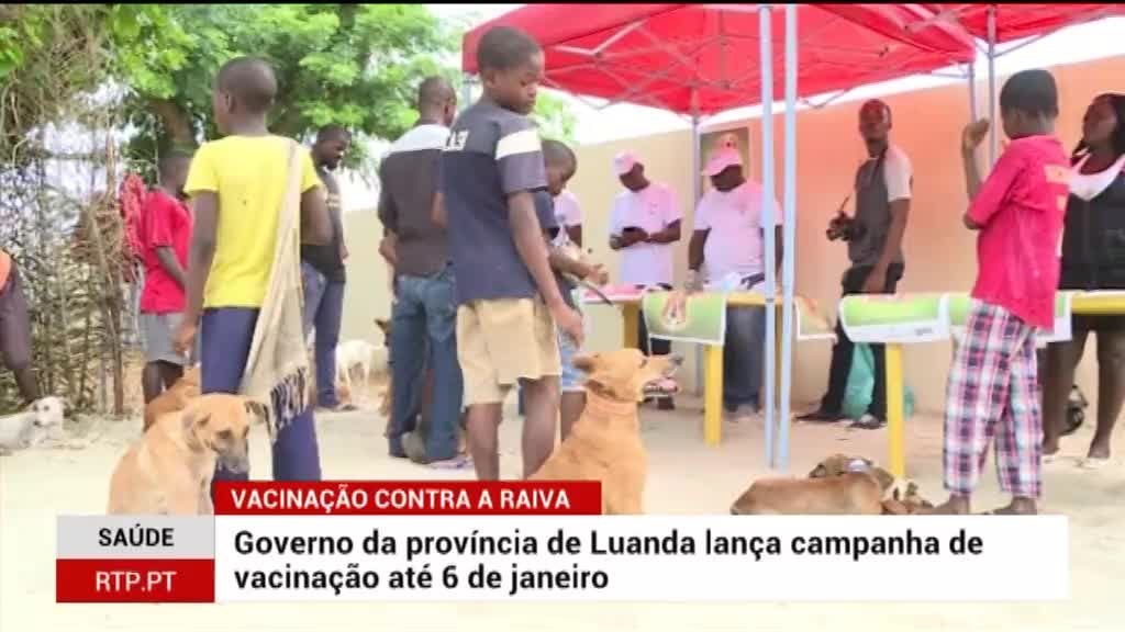 Imagem de Repórter África - 1ª Edição