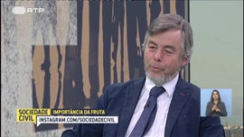 Imagem de Importncia da Fruta