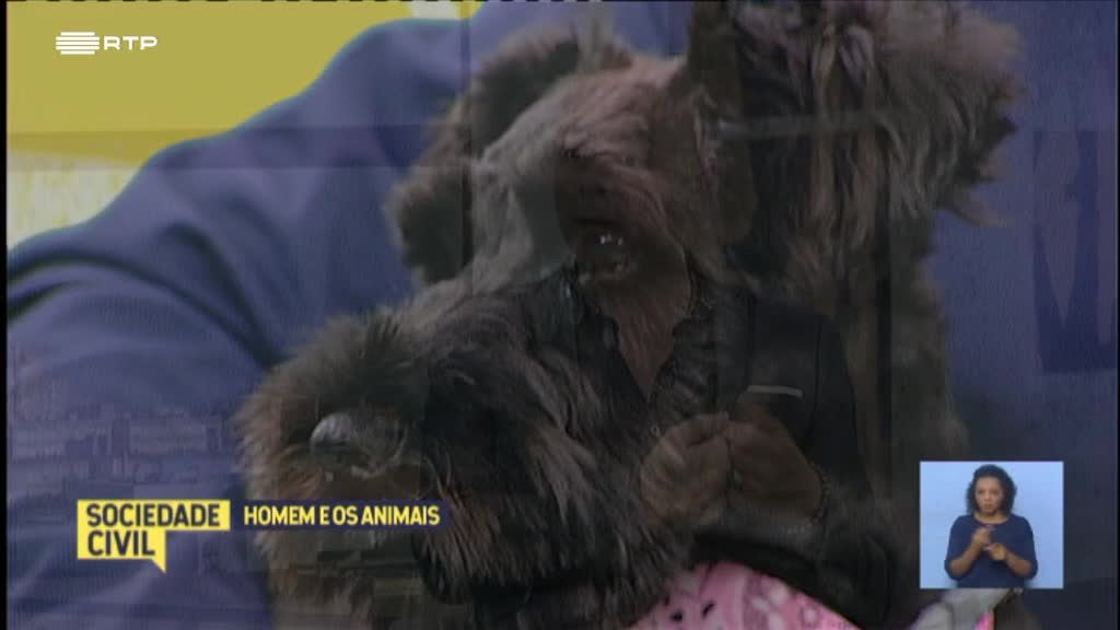 Imagem de Sociedade Civil - Homem e os Animais