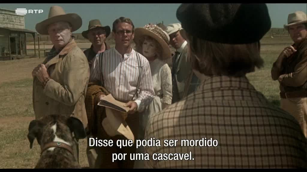 Imagem de O Vendedor de Sonhos