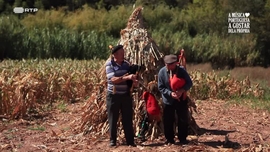 A M�sica Portuguesa a Gostar Dela Pr�pria