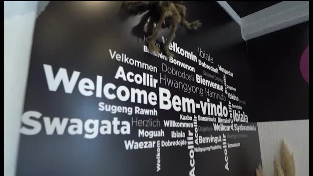 Imagem de Network Negócios - OCUBO e Jazzy Dance Studios