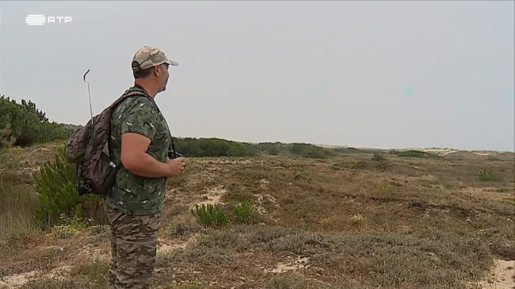 Imagem de Outras Histórias - E o Bugio Aqui Tão Perto; O Habitat Natural do Fotógrafo Amador; Eu Medito, Tu Meditas, Nós Meditamos
