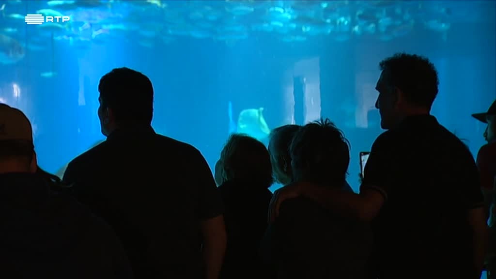 Imagem de Outras Histórias - Os Novos Artesãos, O Médico dos Tubarões, O Maratonista