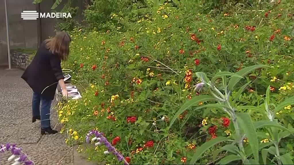 Imagem de Casa das Artes 2019